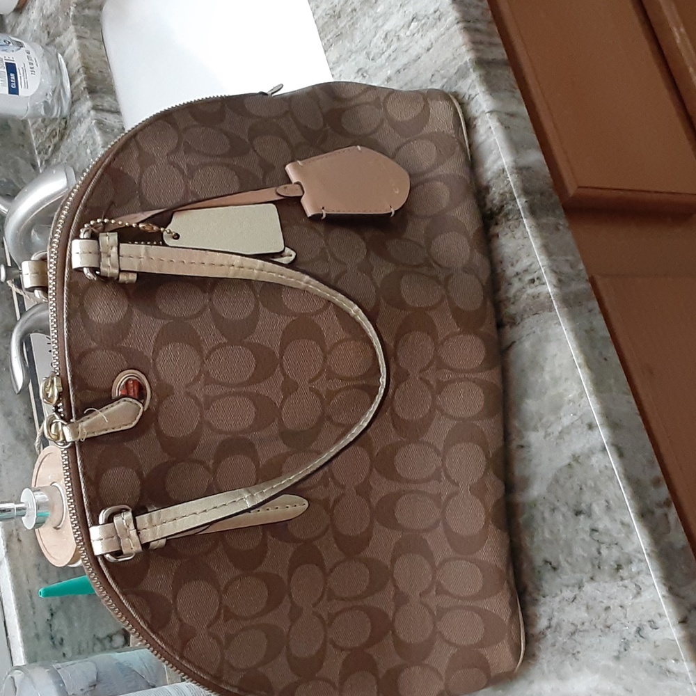 Handbag